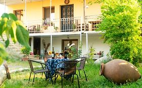 My Home In Tsinandali